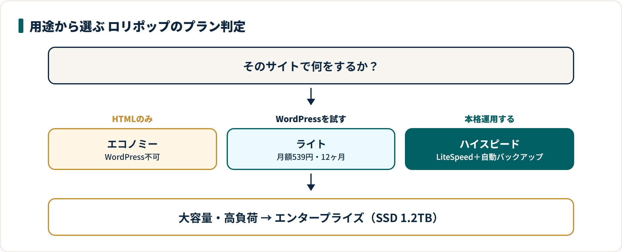 図：WordPressの有無とバックアップ要否で適正プランが決まる（税込・2026年7月19日時点）